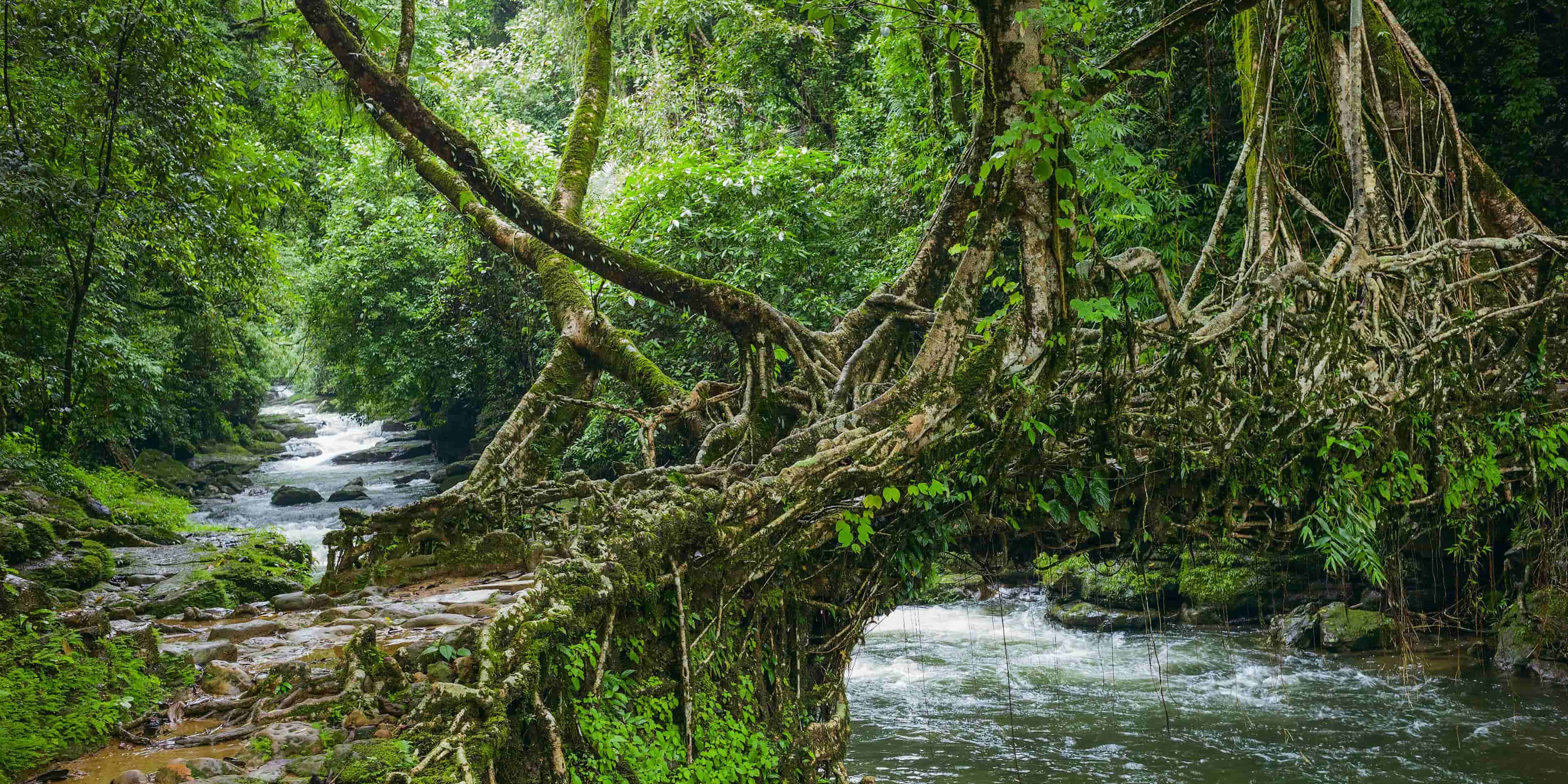 Explore the Enchanting North East