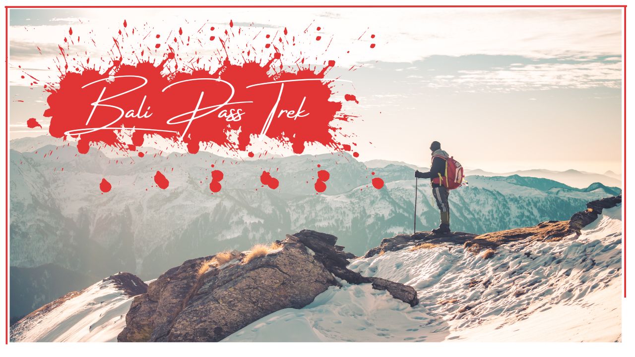 Bali Pass Trek - Where Raw Adventure Meets Himalayan Majesty